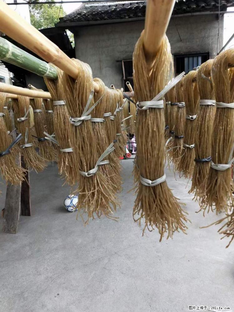 【灌阳正宗红薯粉】美女家里自己做的，干净卫生，假一赔十，价格合理，抢购电话：13737312895 - 美食天地 - 自贡生活社区 - 自贡28生活网 zg.28life.com