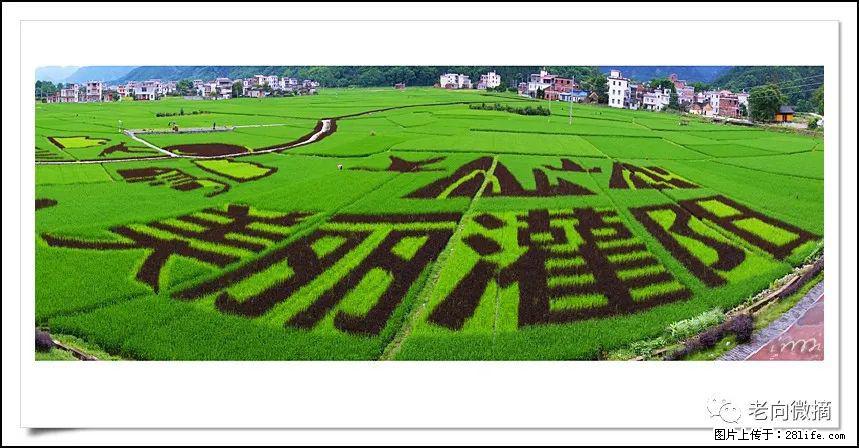 【春天，广西桂林灌阳县向您发出邀请！】开篇 - 游山玩水 - 自贡生活社区 - 自贡28生活网 zg.28life.com