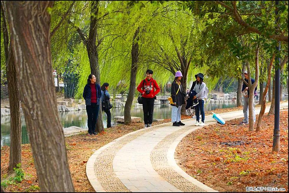 【春天，广西桂林灌阳县向您发出邀请！】江口老街又逢春 - 游山玩水 - 自贡生活社区 - 自贡28生活网 zg.28life.com