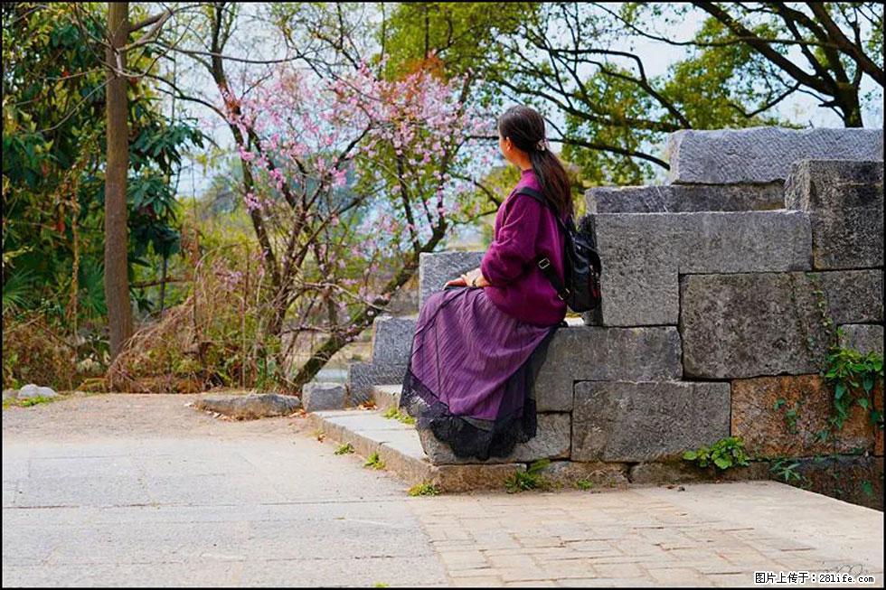 【春天，广西桂林灌阳县向您发出邀请！】江口老街又逢春 - 游山玩水 - 自贡生活社区 - 自贡28生活网 zg.28life.com