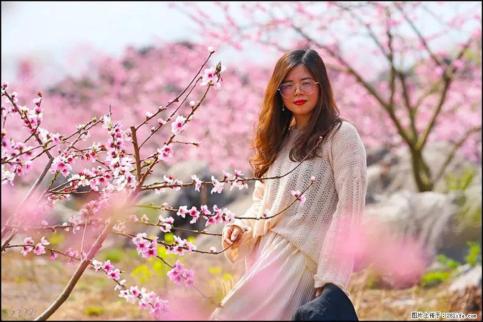 【春天,广西桂林灌阳县向您发出邀请!】望月岭上桃花开 - 游山玩水 - 自贡生活社区 - 自贡28生活网 zg.28life.com