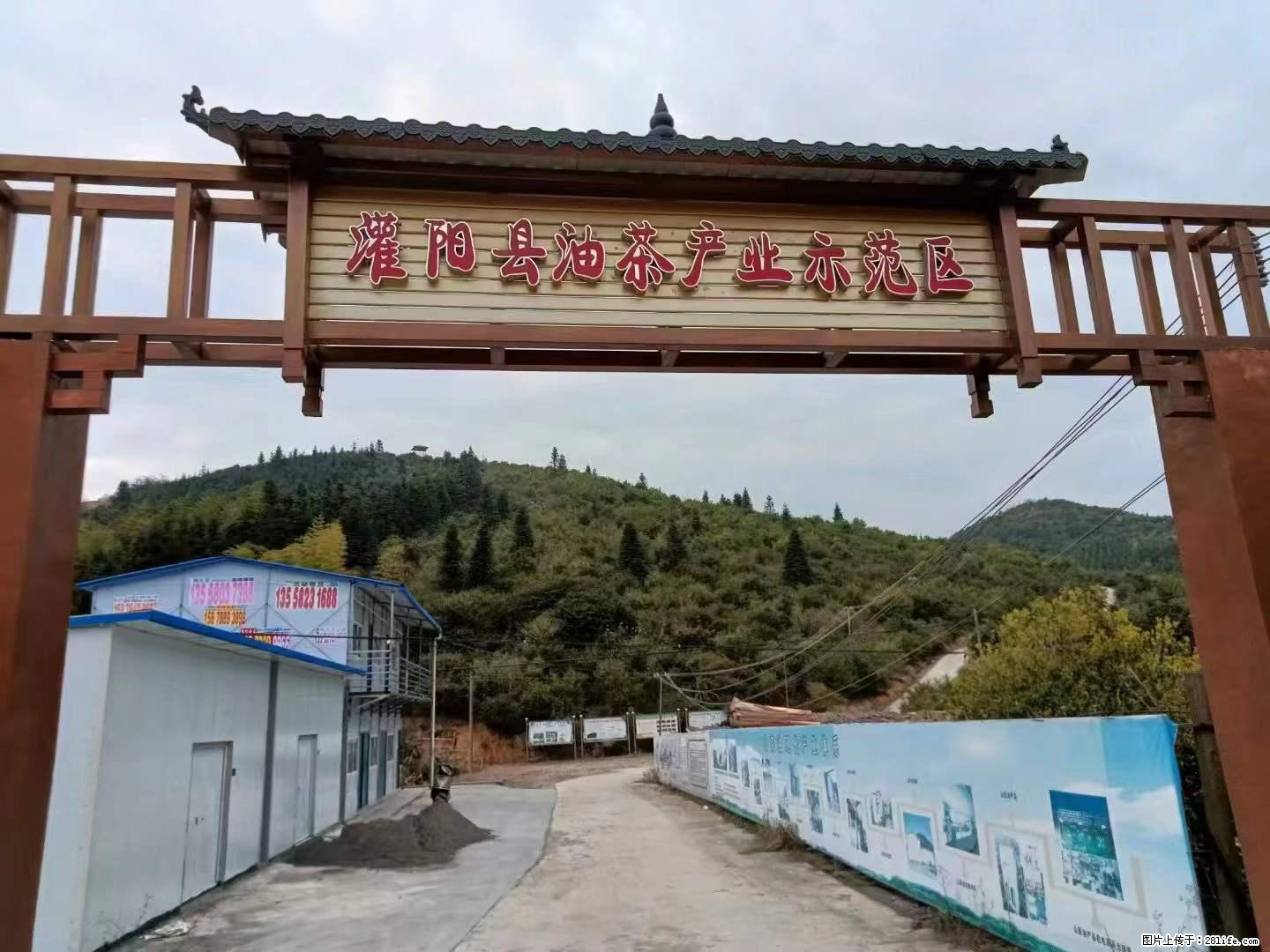 【灌阳县油茶产业示范区】一个有着充实的精神生活的人，对待身外之物自会有一种淡泊的态度 - 土特产 - 饮食特产 - 自贡分类信息 - 自贡28生活网 zg.28life.com