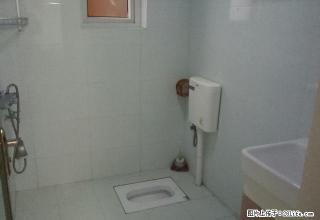 南湖国际社区精装修一室出租，家电齐全，拎包入住 - 自贡28生活网 zg.28life.com