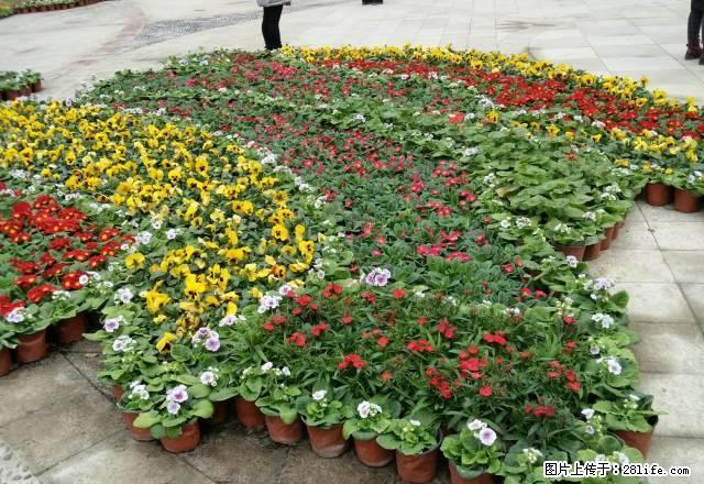 二号转盘，公安局旁边有两个库房出租，有需要库房直接打电话看。 - 房屋出租 - 房屋租售 - 自贡分类信息 - 自贡28生活网 zg.28life.com