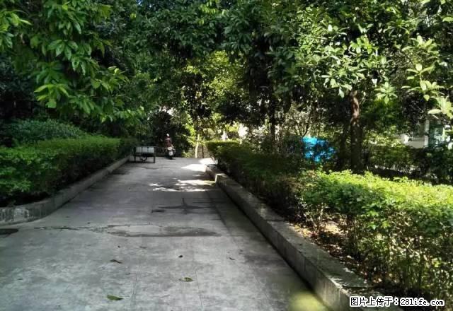 2室带家具家电,空调2个,拎包入住 - 房屋出租 - 房屋租售 - 自贡分类信息 - 自贡28生活网 zg.28life.com