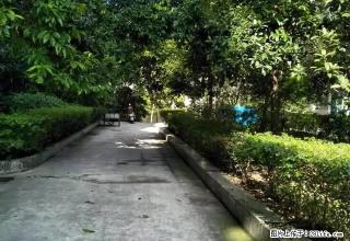 2室带家具家电，空调2个，拎包入住 - 自贡28生活网 zg.28life.com