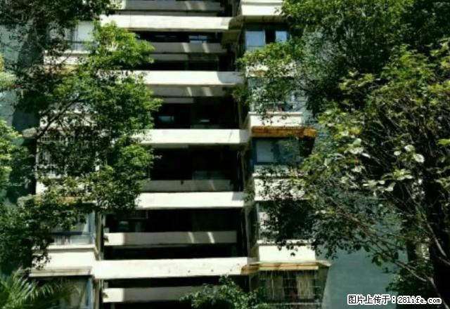 超低租金...可拎包入住 - 房屋出租 - 房屋租售 - 自贡分类信息 - 自贡28生活网 zg.28life.com