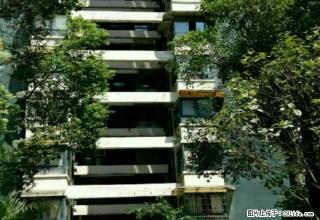 超低租金...可拎包入住 - 自贡28生活网 zg.28life.com