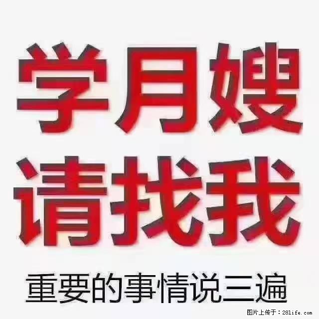 【招聘】月嫂,上海徐汇区 - 职场交流 - 自贡生活社区 - 自贡28生活网 zg.28life.com