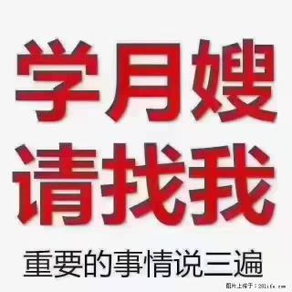 【招聘】月嫂，上海徐汇区 - 自贡28生活网 zg.28life.com