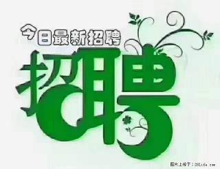 上海青浦区招仓管 - 自贡28生活网 zg.28life.com