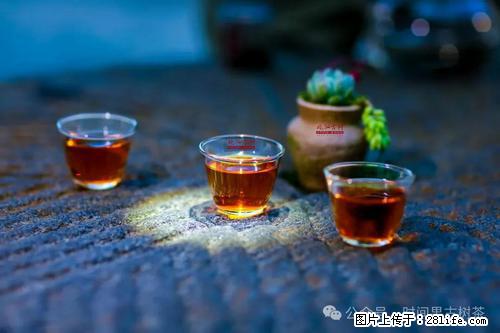 时间果百年古树2025年春红茶 - 购物交流 - 自贡生活社区 - 自贡28生活网 zg.28life.com