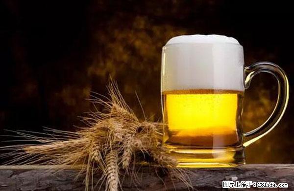 原来它这么毒,然而竟然满大街都是.... - 自贡生活资讯 - 自贡28生活网 zg.28life.com