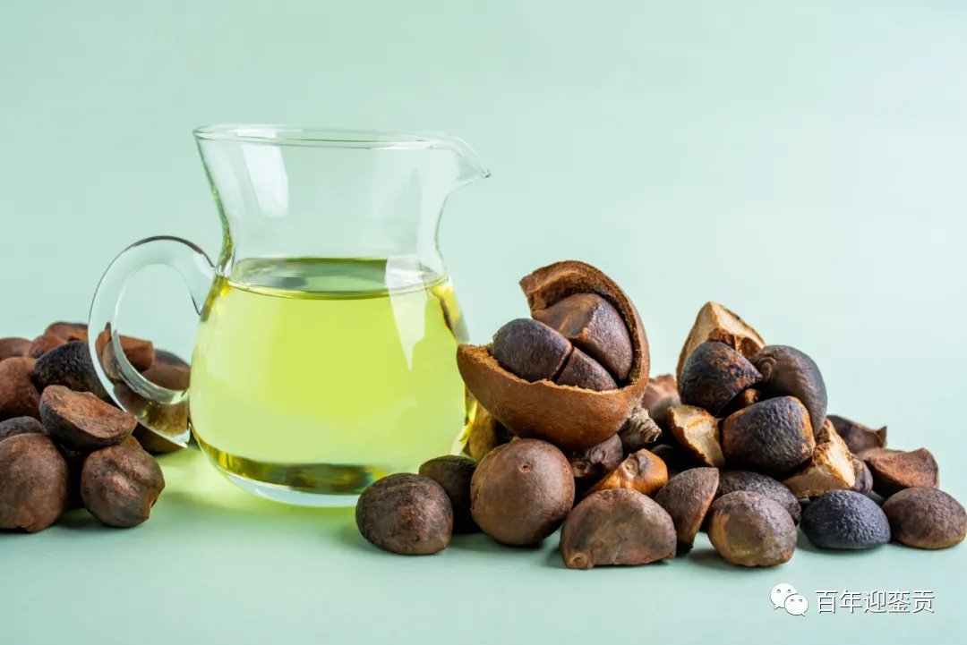 世界没有真相,只有认知,最好的食用油是中国的山茶油! - 自贡生活资讯 - 自贡28生活网 zg.28life.com