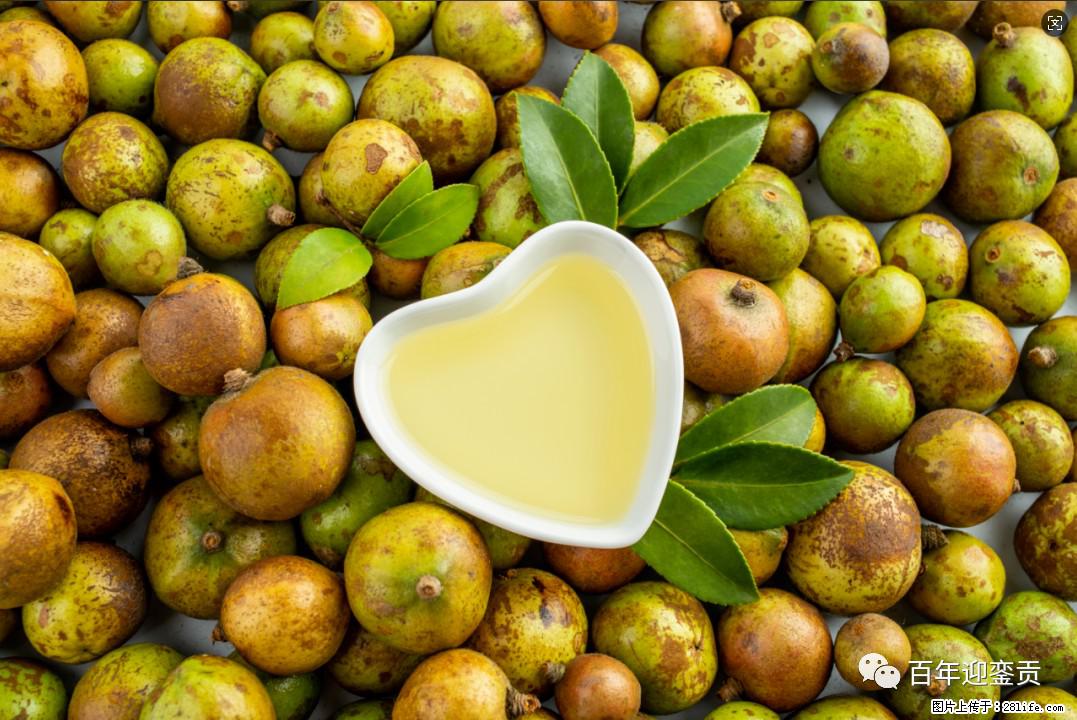 世界没有真相,只有认知,最好的食用油是中国的山茶油! - 自贡生活资讯 - 自贡28生活网 zg.28life.com