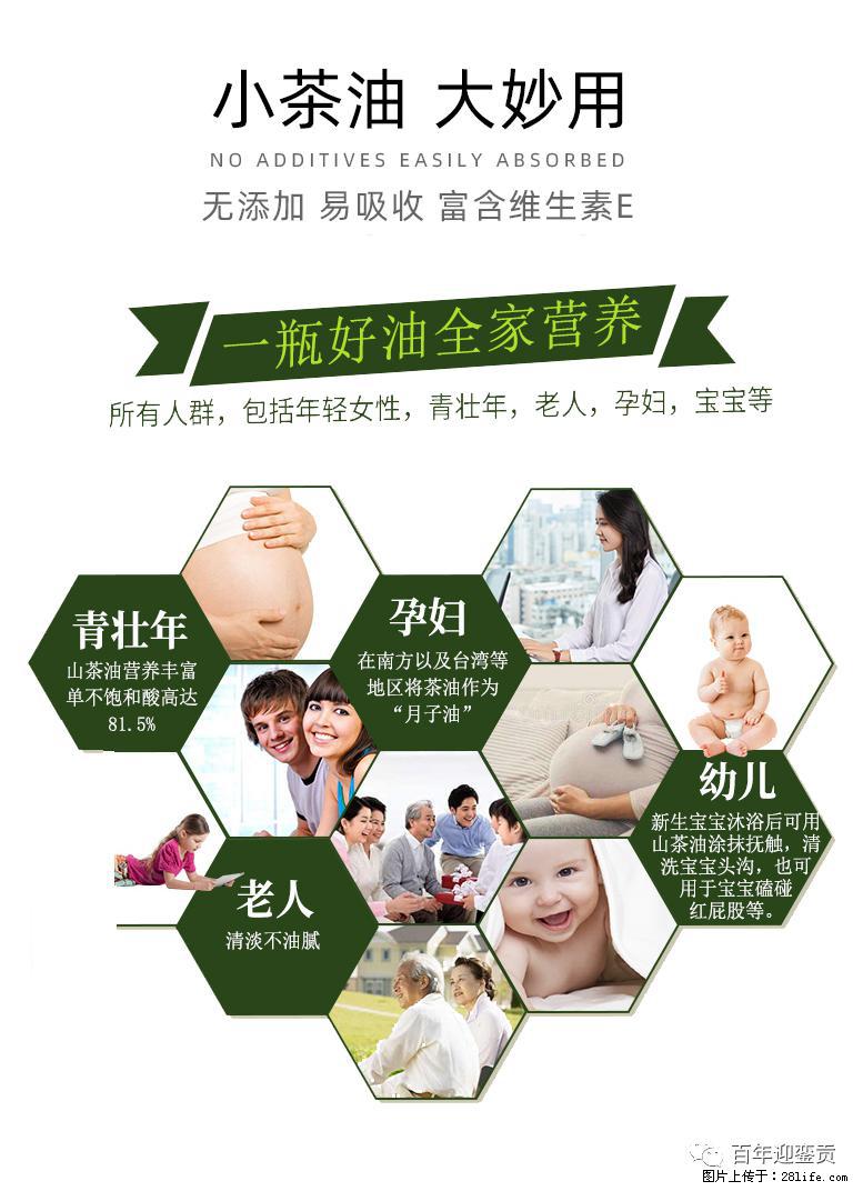 世界没有真相,只有认知,最好的食用油是中国的山茶油! - 自贡生活资讯 - 自贡28生活网 zg.28life.com