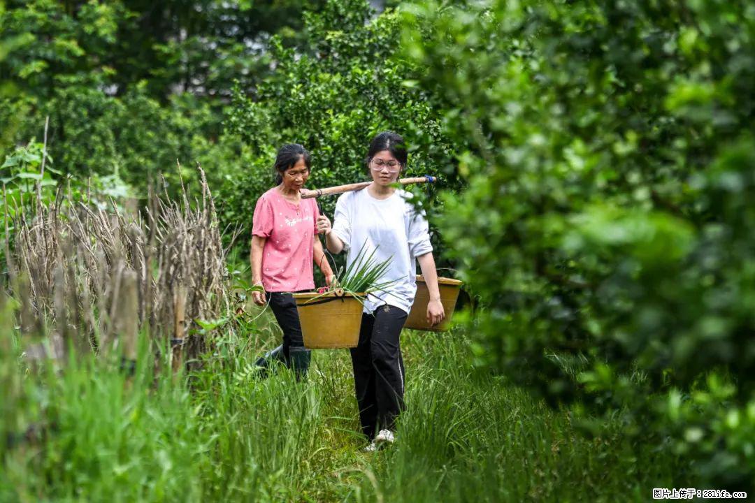全网追的“扁担女孩”,找了一份暑假工,时薪12元 - 自贡生活资讯 - 自贡28生活网 zg.28life.com