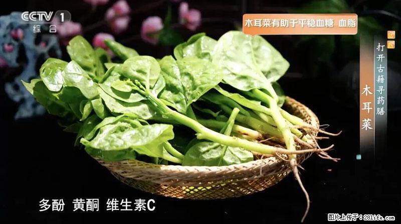 比牛奶补钙还厉害！凉血解毒、稳血糖...这菜冬天必吃，很多人却当草 - 自贡生活资讯 - 自贡28生活网 zg.28life.com