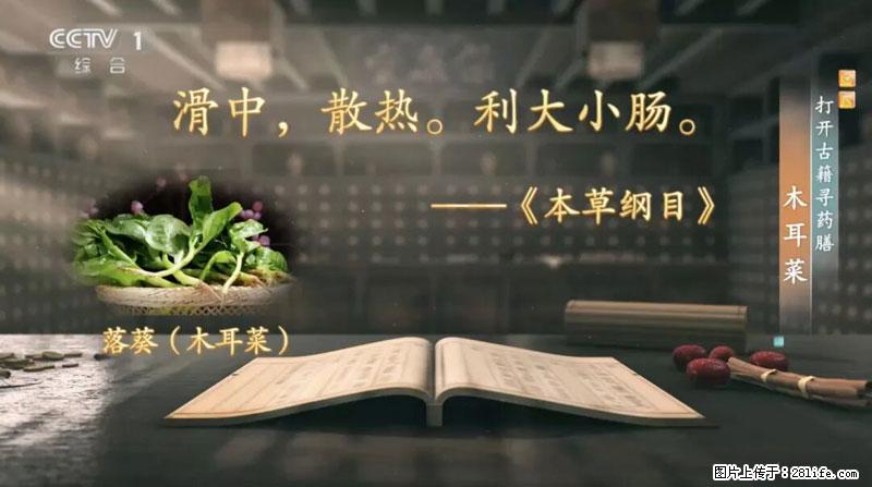 比牛奶补钙还厉害！凉血解毒、稳血糖...这菜冬天必吃，很多人却当草 - 自贡生活资讯 - 自贡28生活网 zg.28life.com