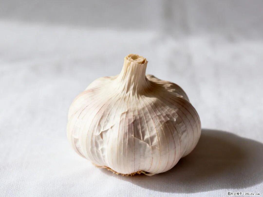 关于大蒜，除了“天然抗生素”，这4个谣言更该警惕! - 自贡生活资讯 - 自贡28生活网 zg.28life.com